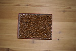 DSC07842.JPG